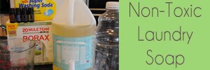 Non-Toxic Laundry Soap